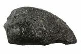 Fossil Whale Ear Bone - Miocene #95724-1